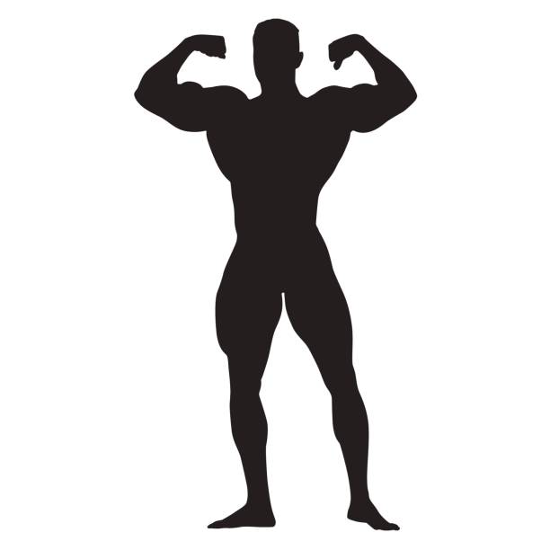 illustrations, cliparts, dessins animés et icônes de vue frontale posant de bodybuilder, permanent homme avec des gros muscles - men muscular build bicep body building