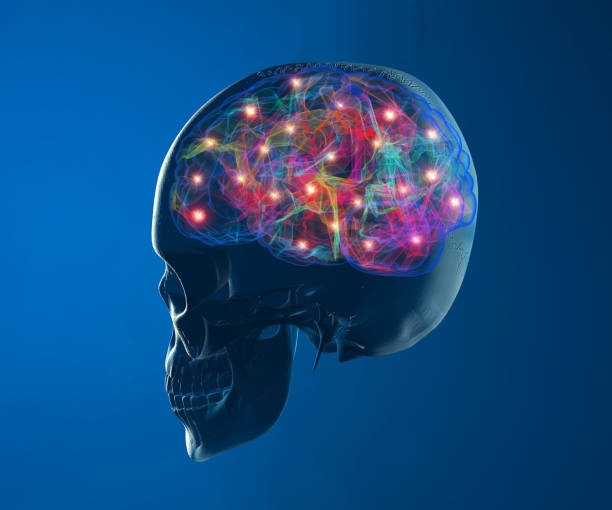 istock Brain degenerative diseases, Parkinson, synapses, neurons, Alzheimer's, 690365516