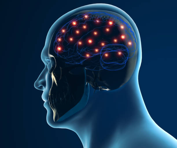 istock Brain degenerative diseases, Parkinson, synapses, neurons, Alzheimer's, 690366506