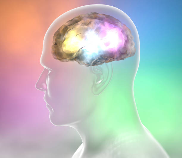 istock Brain degenerative diseases, Parkinson, synapses, neurons, Alzheimer's, 690368298