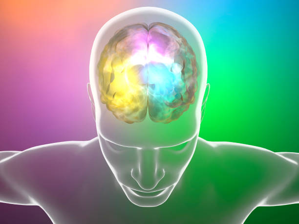 istock Brain degenerative diseases, Parkinson, synapses, neurons, Alzheimer's, 690368324