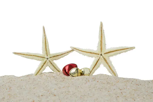 Close up of starfishes and christmas bells on the sandy beach, isolated on white background