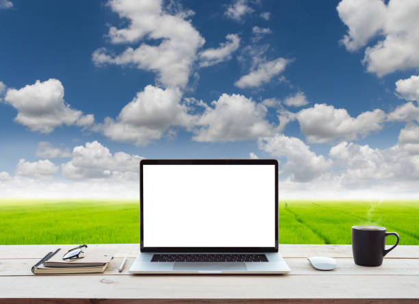 laptop computador mostrando tela branca em prado de mesa de trabalho e fundo de vista azul sky view - mouse rodent animal field mouse - fotografias e filmes do acervo
