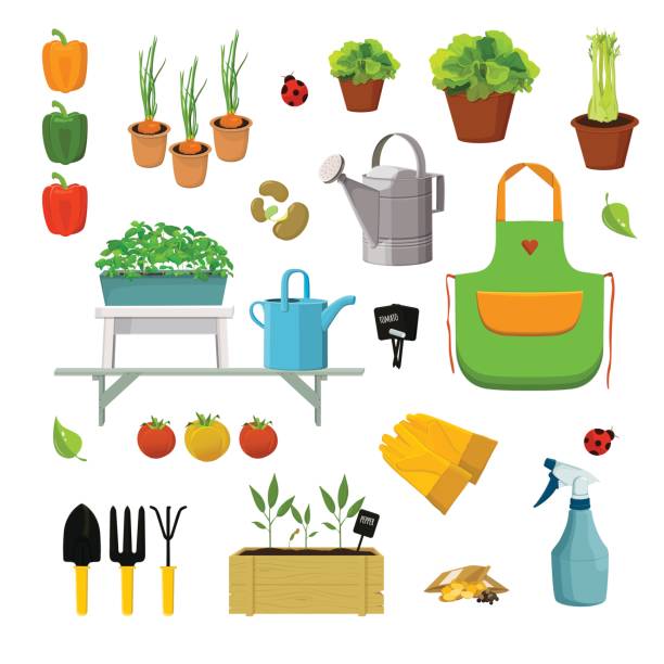 набор растений - backgrounds lettuce agriculture botany stock illustrations