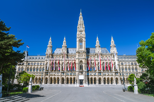 Wiener Rathaus - Vienna Town Hall - gothic building along the Ringstraße - empty Rathausplatz without people on a beautiful summer day.