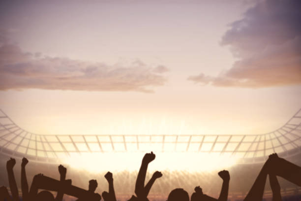 istock Football stadium with cheering crowd 690404550