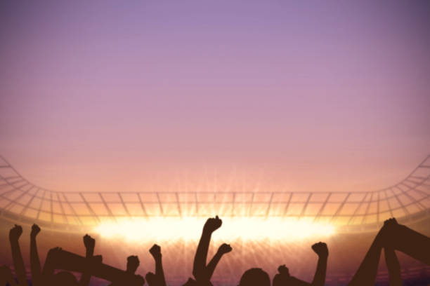 istock Football stadium with cheering crowd 690406100