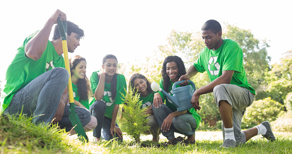 Group of environmentalists planting together in park