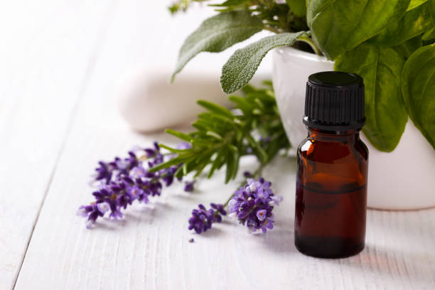 istock essential oil and lavender flowers 690407096