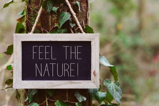 istock text feel the nature in a tree 690414750
