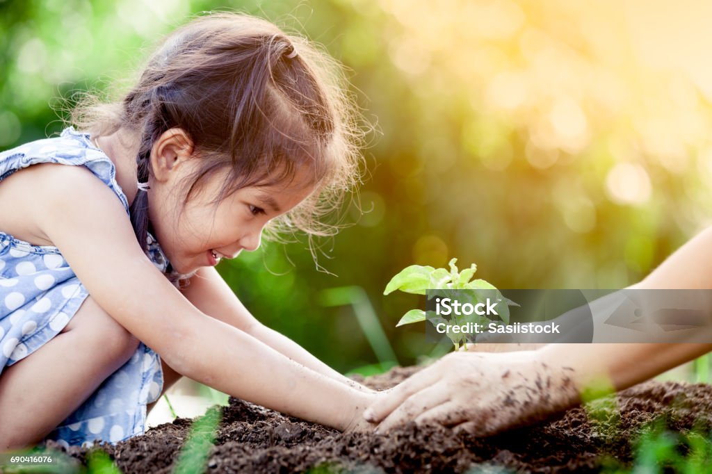 Bambina asiatica e genitore che piantano un giovane albero su terra nera insieme - Foto stock royalty-free di Bambino