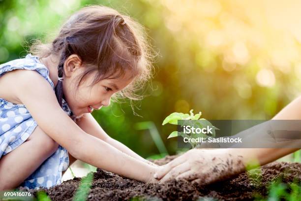Asian Little Girl And Parent Planting Young Tree On Black Soil Together Stock Photo - Download Image Now