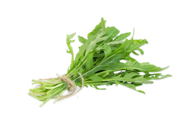 istock Bundle of the arugula tied with twine 690418504