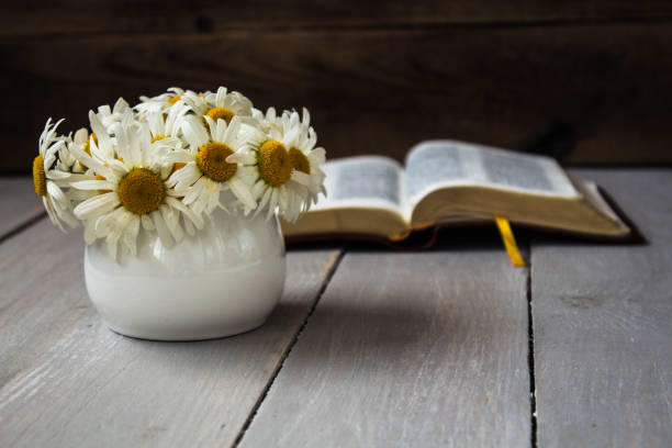 istock bible and camomiles on wooden background 690419216