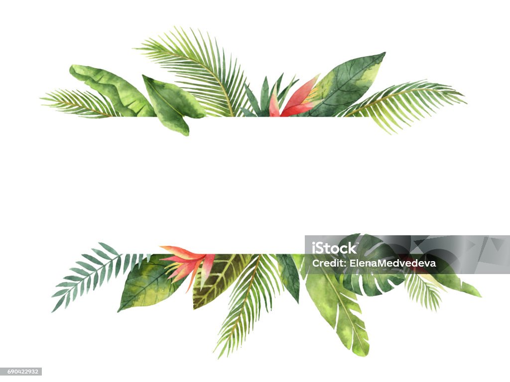 Watercolor banner tropical leaves and branches isolated on white background. Watercolor banner fruit orange branch isolated on white background. Illustration for design wedding invitations, greeting cards, postcards. Spring or summer flowers with space for your text. Tropical Climate stock illustration