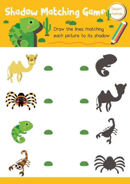 Vector illustration of Shadow matching game desert animal