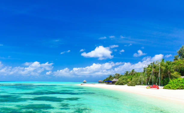 istock tropical beach in Maldives 690428024