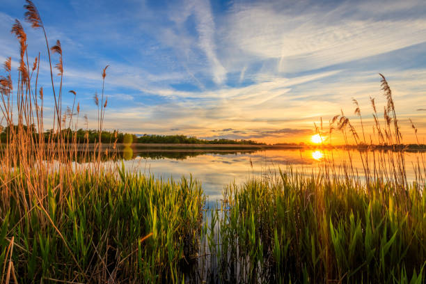 istock Scenic view of beautiful sunset above the pond 690429032