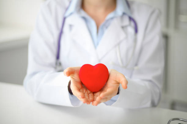 istock Female doctor with stethoscope holding heart. 690433076