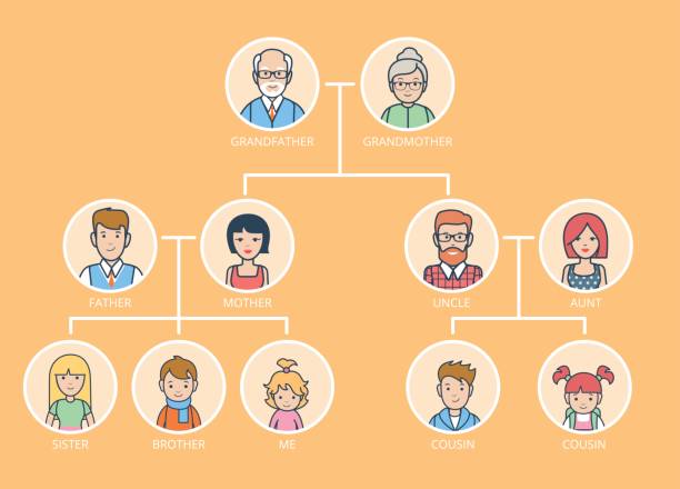 Linear Flat Family Tree infographics template vector illustration. Grandparents, parents, children connected with lines on yellow background. Genealogy concept. Linear Flat Family Tree infographics template vector illustration. Grandparents, parents, children connected with lines on yellow background. Genealogy concept. family tree stock illustrations