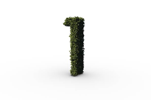 istock One made of leaves 690439918