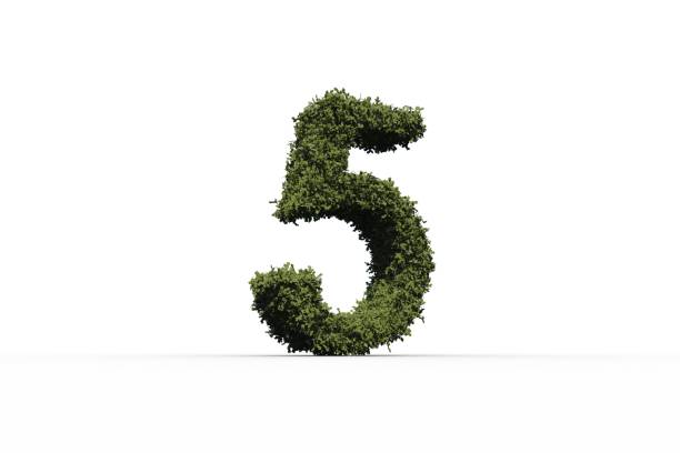 istock Five made of leaves 690440114