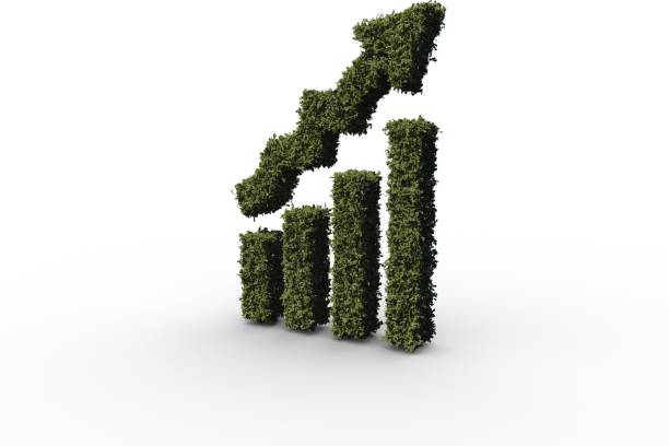 istock Bar chart made of leaves 690440404