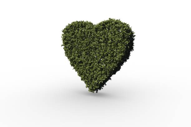 istock Heart made of leaves 690440468