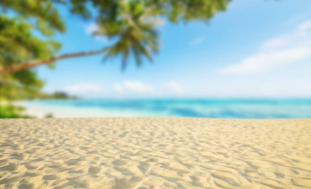 istock Tropical beach with sand, summer holiday background. 690441100