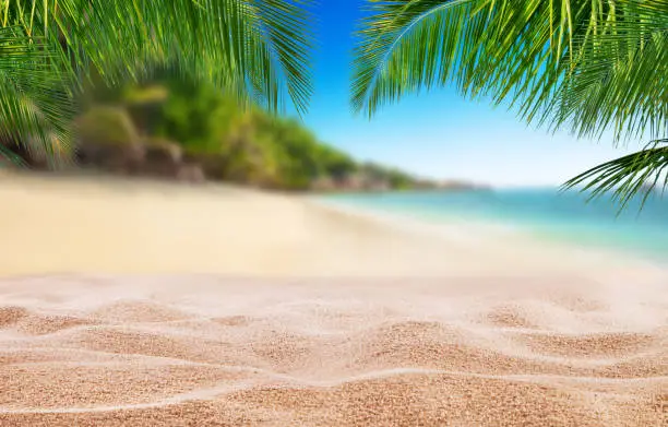 Tropical beach with sand, summer holiday background. Travel and beach vacation, free space for text or product placement.