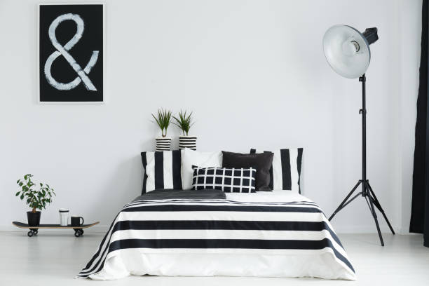 istock Skateboard, plants, and lamp in bedroom 690445102