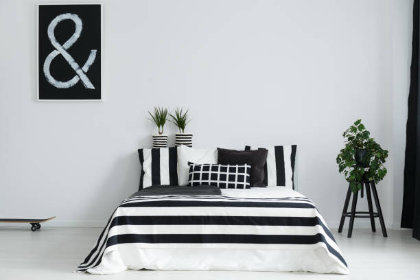 istock Bedroom with plants and skateboard 690445126