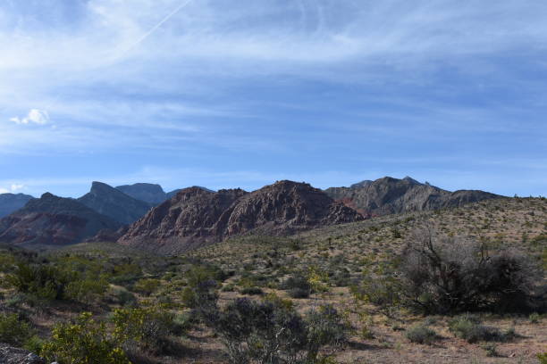 istock Las Vegas Red Rock Canyon 690478364