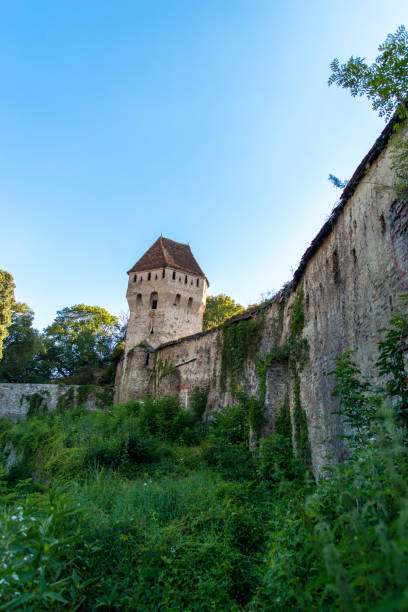 istock Sighisoara, beautiful medieval city 690479350