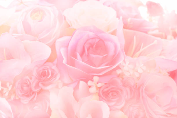 Beautiful decoration artificial rose flower background for valentine day or wedding card.