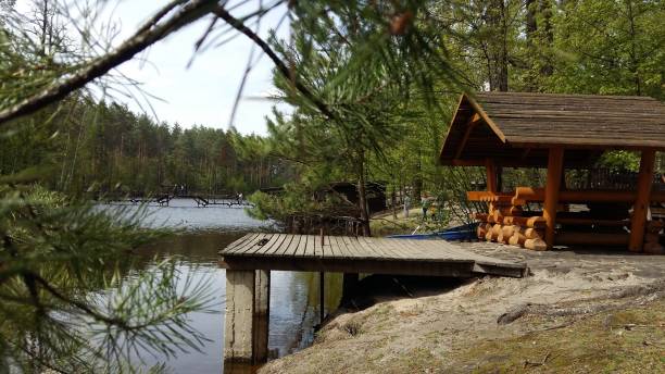 istock A gazebo to relax in the spring forest. 690485946