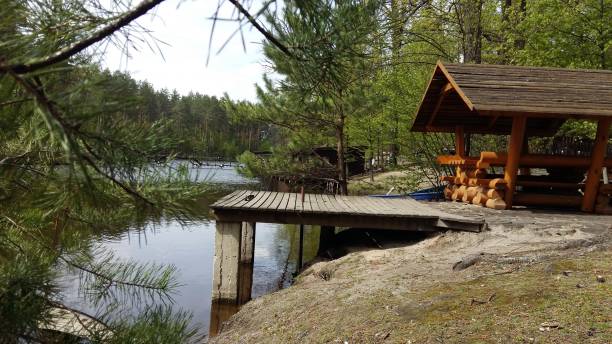 istock A gazebo to relax in the spring forest. 690486004