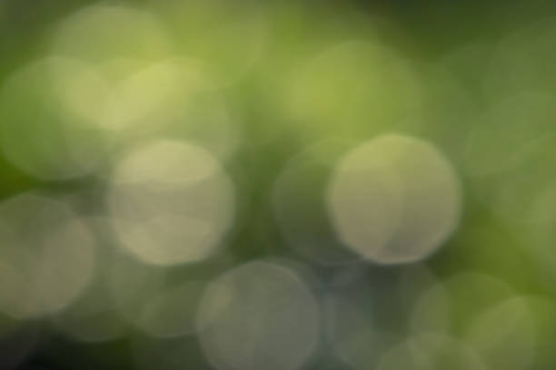 istock lighting Bokeh of nature background. 690490002