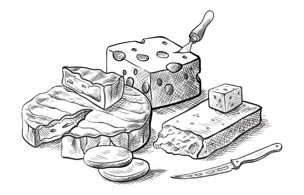 käse, verschiedene arten von käse satz von vektor-skizzen - tellerlift stock-grafiken, -clipart, -cartoons und -symbole