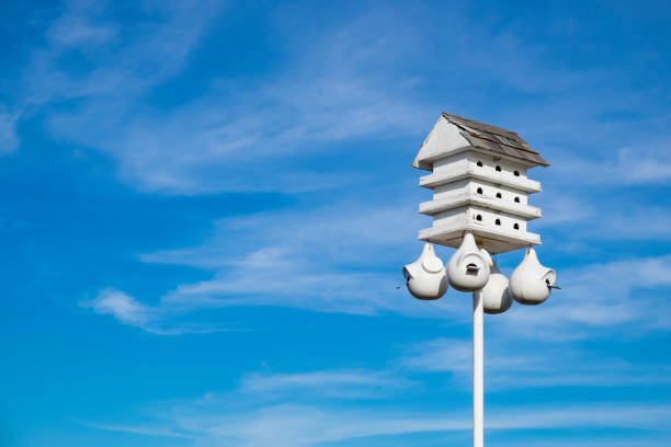 White Purple Martin House Against A Blue Sky