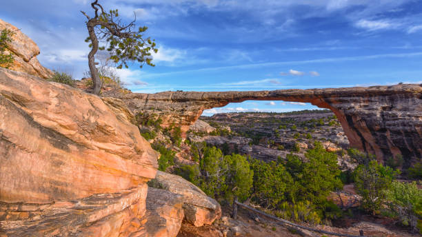 ponte owachomo - natural bridge state park foto e immagini stock