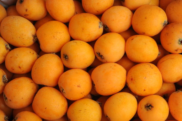 istock Medlars in cardboard from Spain 690493188