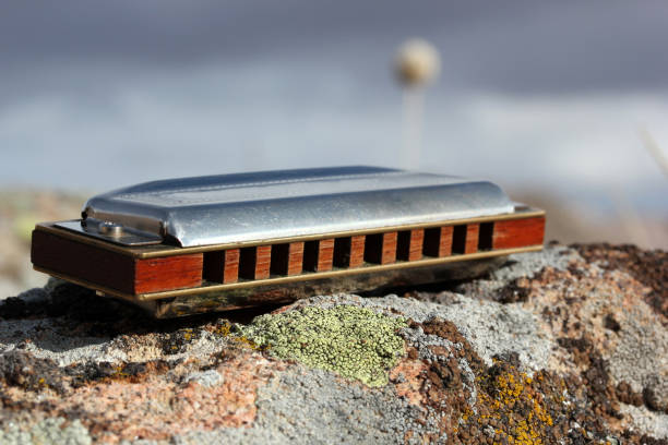 harmonica - blues harp fotografías e imágenes de stock