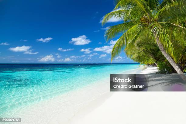 Tropical Paradise Beach Background Stock Photo - Download Image Now - Beach, Caribbean, Tropical Climate