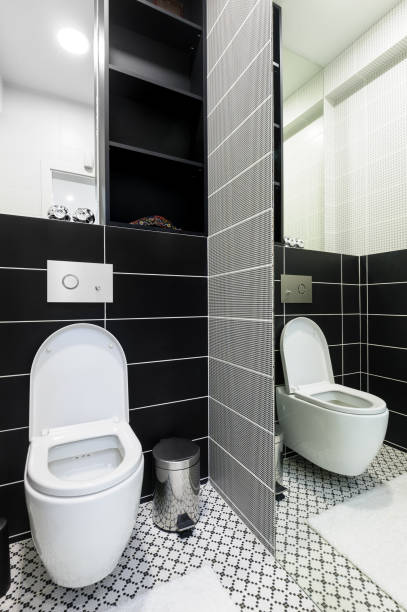 istock Modern black and white toilet 690513890