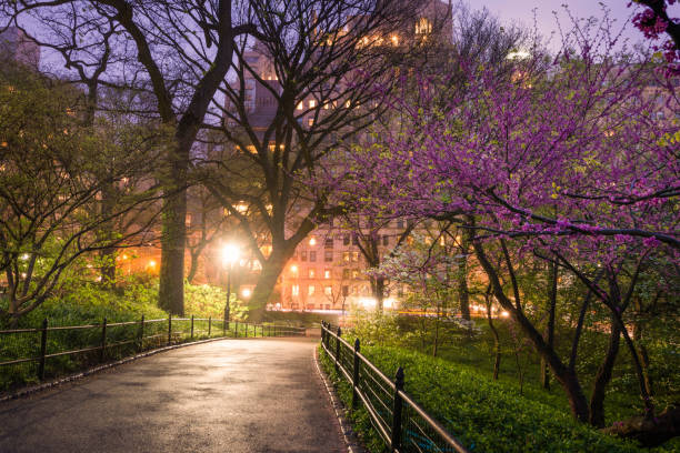 istock NYC Central Park Manhattan Spring Dusk Scene 690514668