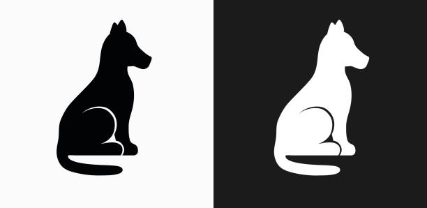 Dog Sitting Icon on Black and White Vector Backgrounds Dog Sitting Icon on Black and White Vector Backgrounds. This vector illustration includes two variations of the icon one in black on a light background on the left and another version in white on a dark background positioned on the right. The vector icon is simple yet elegant and can be used in a variety of ways including website or mobile application icon. This royalty free image is 100% vector based and all design elements can be scaled to any size. dog sitting icon stock illustrations