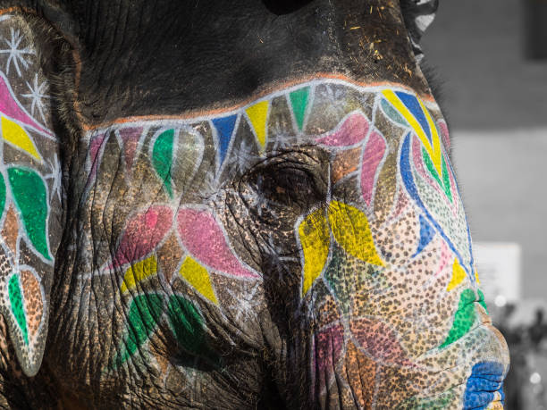 istock Colorfully painted elephant in Rajasthan, India 690519024