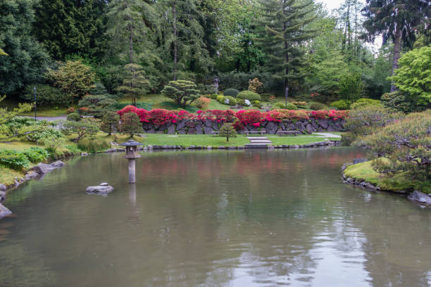 istock Pond And Flowers In Spring 690521758
