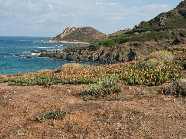 istock french island in the mediterranean 690525320